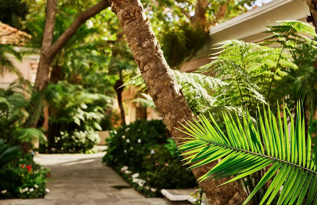 Hotel Bel-Air - Dorchester Collection-1